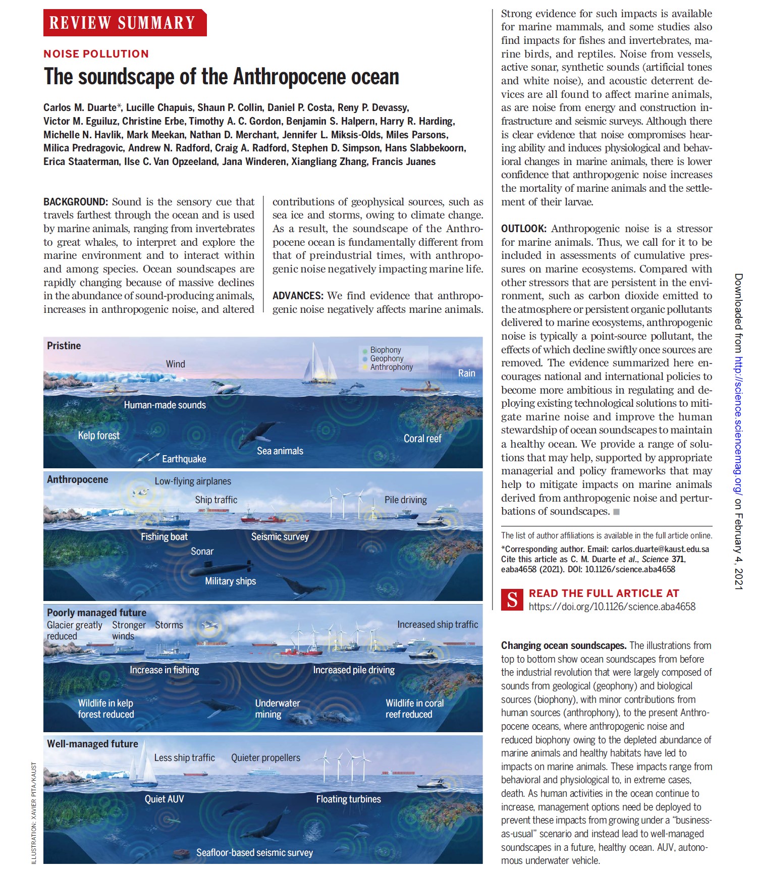 The soundscape of the Anthropocene ocean