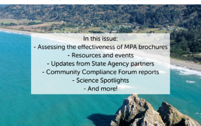 MPA Collaborative Network Quarterly Bulletin Available Now