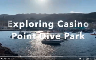 Exploring Casino Point Dive Park Video – March 2021
