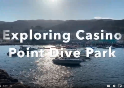 Exploring Casino Point Dive Park Video – March 2021