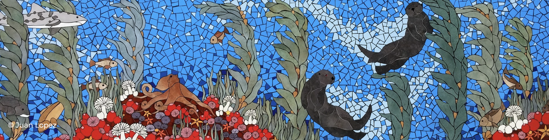 What are you doing for Sea Otter Awareness Week?