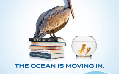 Join the California Sea Level Rise Awareness Campaign
