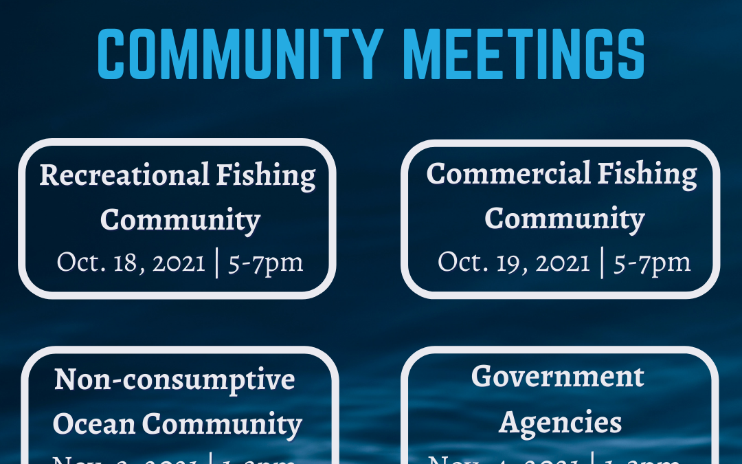 Get Involved: MPA Decadal Management Review