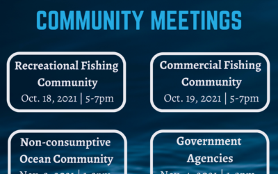 Get Involved: MPA Decadal Management Review