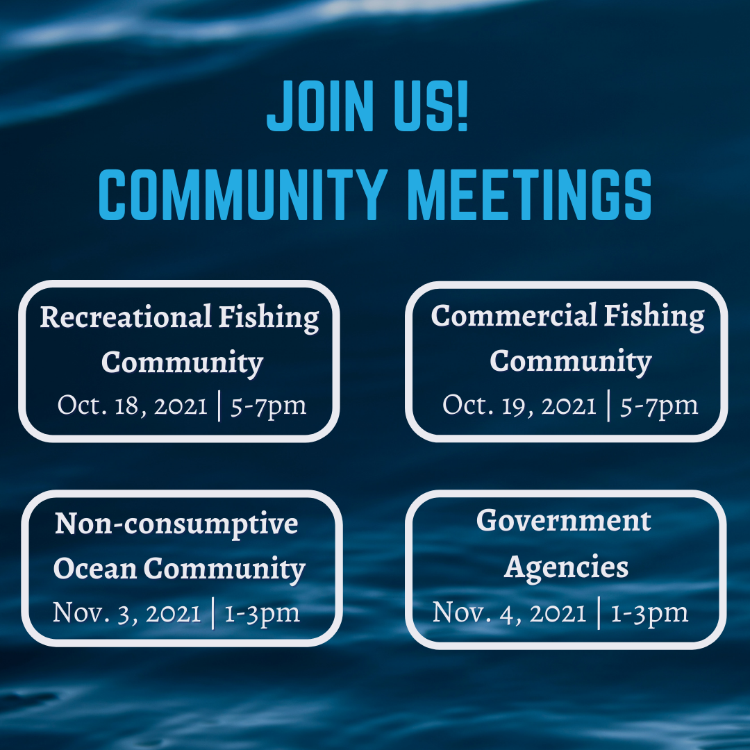 Get Involved: MPA Decadal Management Review