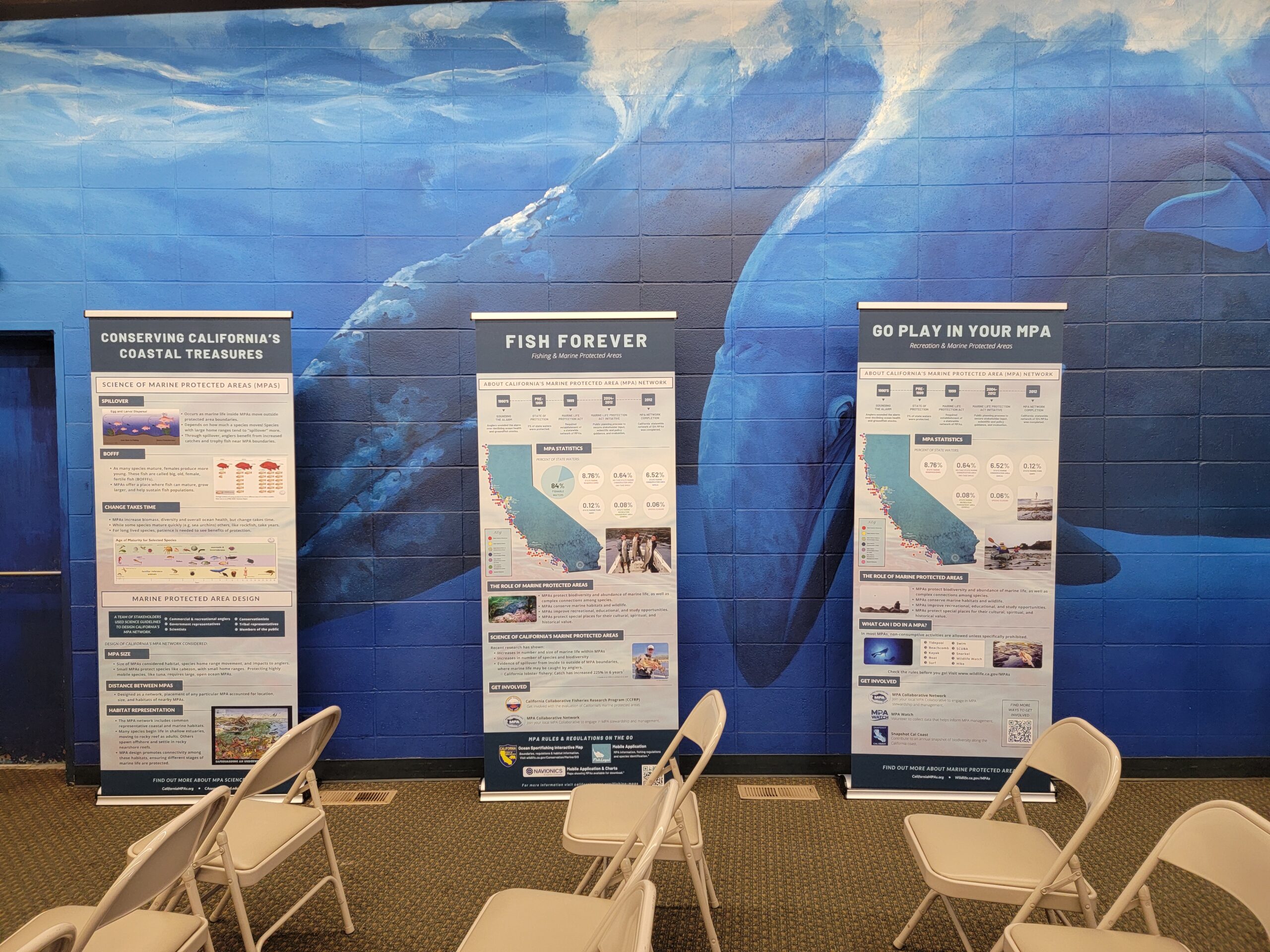 Free MPA exhibits available for your use