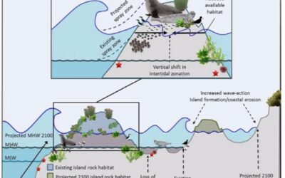 New climate change/sea-level rise vulnerability assessment released