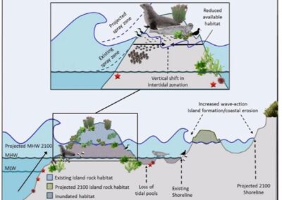 New climate change/sea-level rise vulnerability assessment released