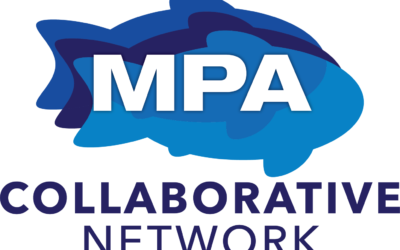 MPA Collaborative Network Newsletter: Summer 2022