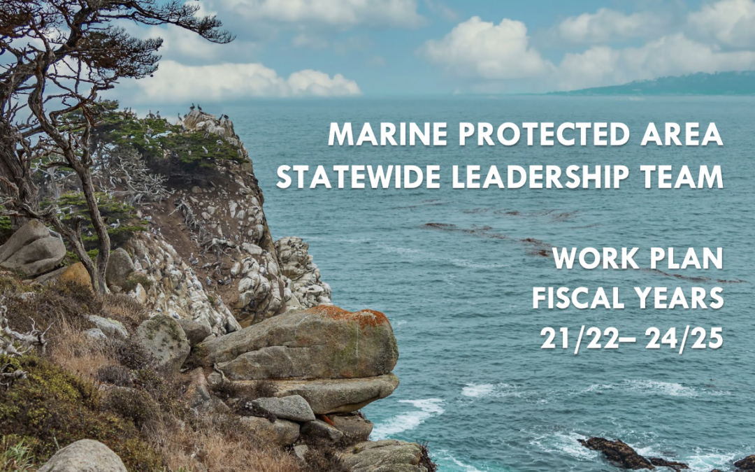 MPA Statewide Leadership Team Releases Work Plan, Key Tool in MPA Management Program