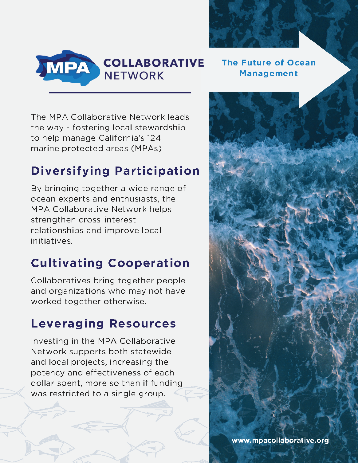 MPA Collaborative Network Brochure