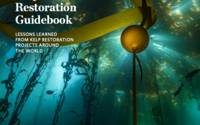Global Kelp Restoration Guidebook