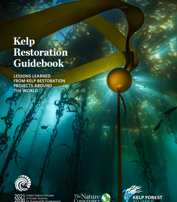 Global Kelp Restoration Guidebook
