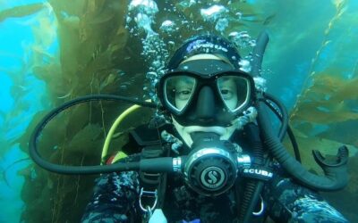 Celebrate World Ocean Day with California State Parks