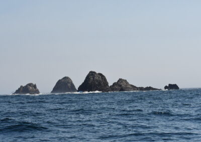 San Francisco District Attorney Boudin Announces Civil Prosecution Against Commercial Fisherman for Fishing in the North Farallon Islands State Marine Reserve