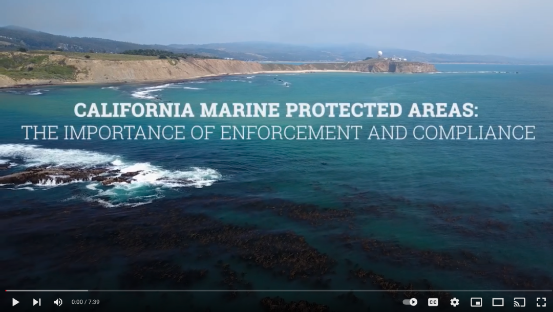 California’s Marine Protected Areas (MPAs): The Importance of Enforcement and Compliance