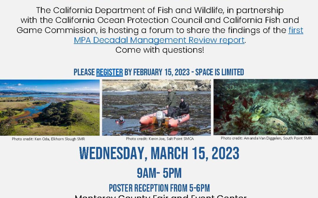 Streaming Option Now Available for March 15 MPA Day: Management Review Forum
