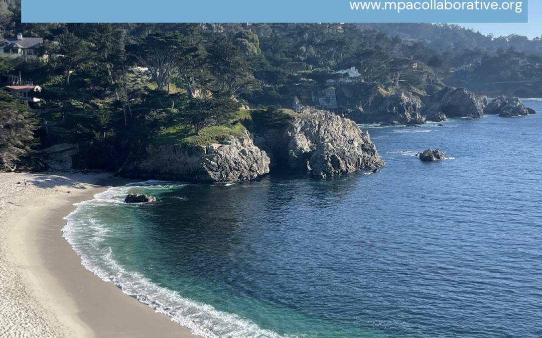 Discover the statewide impact of the MPA Collaborative Network’s Compliance Initiative 2019-2022