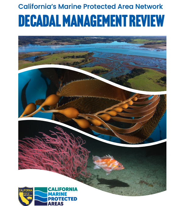 Available Now! MPA Decadal Management Review Report