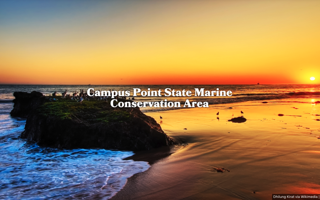 A photographic tour of California’s marine protected areas
