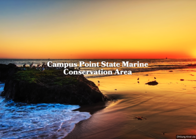 A photographic tour of California’s marine protected areas