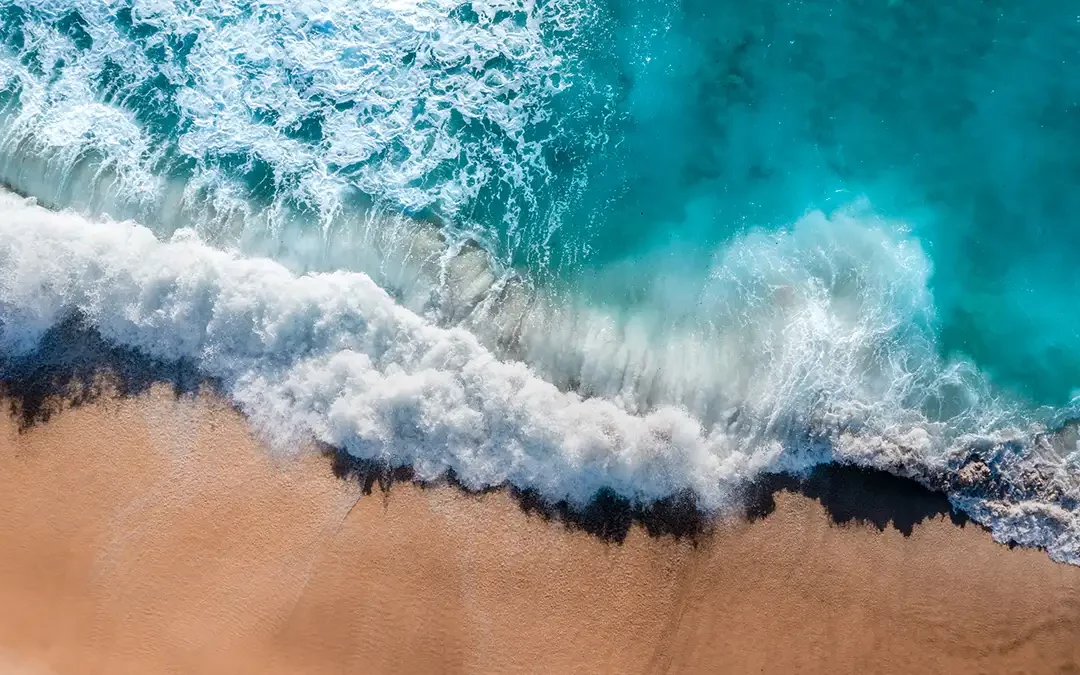 Central Coast State Parks Association (CCSPA) Community Outreach Coordinator